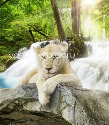Картинки на тему природа фотографии