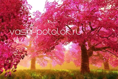Доклад по предмету английского языка на тему: \"Человек и природа\".Person  and nature. | StudyTap | Дзен
