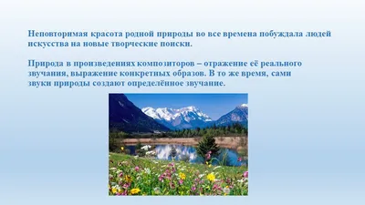 Идеи на тему «Природа,nature» (400) в 2022 г | закаты, природа,  лес.Эстетика,прогулка утром,листва❤️ | Природа, Закаты, Прогулки