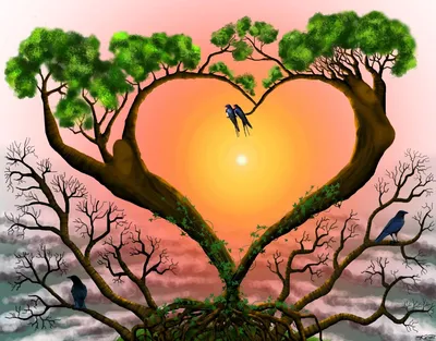 Идеи на тему «Природа,nature» (440) в 2022 г | закаты, природа,  лес.Эстетика на море,закат,обрыв💗✨ | Закаты, Природа, Эстетика