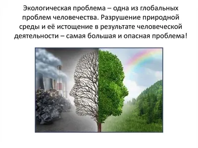 Маленькие нефтяники югорской «дочки» «Роснефти» показали, как видят охрану  экологии компании