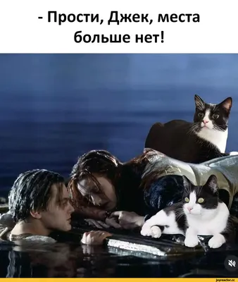 Картинка Мені кешір . девочка с табличкой прости меня . открытки по теме  прости меня Створити листівку онлайн. Конструктор листівок на кожен день.