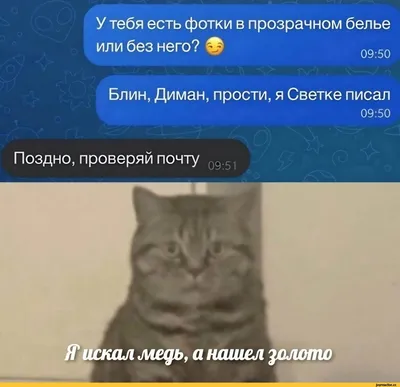 Идеи на тему «Прости...» (91) | открытки, смешные смайлики, веселые картинки