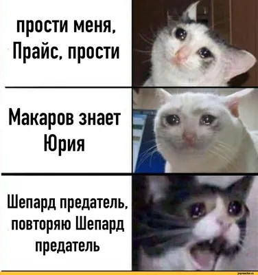 https://pikabu.ru/story/ryadovoy_prosti_11010486