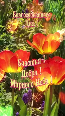 Юра, прости нас! | Пикабу