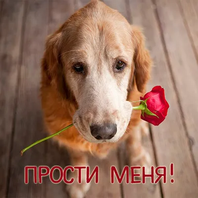 Муж, любимый, да прости меня, что пишу об этом 🤫Просто тема интересная.  Слава Богу, что ты не знаешь, что посты в Инстаграм можно… | Instagram