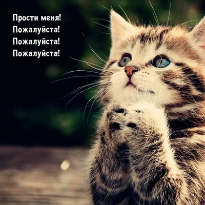 N53355388584 Если кто спросит чем занимается администратор-флорист, ответ:  подписывает открытки / твиттер :: поклонник :: открытка :: интернет /  смешные картинки и другие приколы: комиксы, гиф анимация, видео, лучший  интеллектуальный юмор.