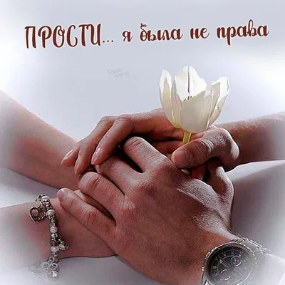 Поля! Прости Меня! Милые медвежата. Открытка на тему любовь.