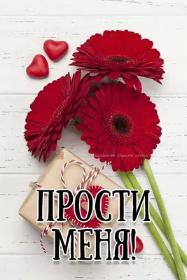 Сегодня прощённое воскресенье и я хочу написать пост на эту тему. Дело в  том, что сети заполонили открытки с просьбой простить их автора не… |  Instagram