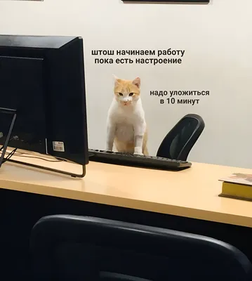 Бесит, что работа в офисе отнимает время, которое можно потратить на себя