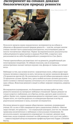 Итоги Умной среды с темой Ревность - Умная среда