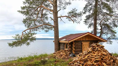 Люди везде закармливают меня». Американец о русской бане и жизни в России -  Открытая Россия — LiveJournal