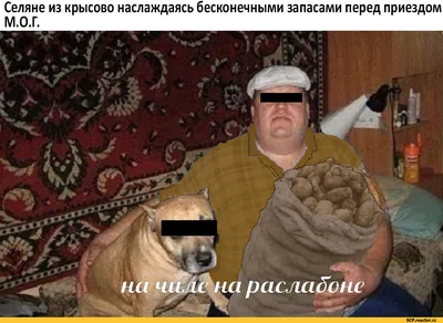 Около виниловая тема или как я провел выходные. — Сообщество «Клуб  Почитателей Кассетных Магнитофонов» на DRIVE2