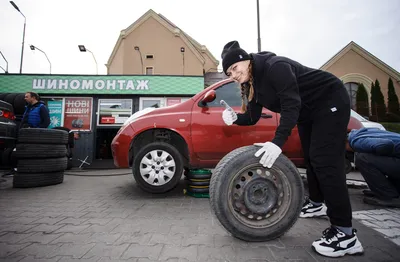 В тему котов на шиномонтажке. | Пикабу