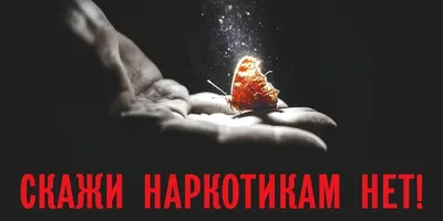 Администрация Архангельска • Скажи «Нет!» наркотикам - 21.02.2015 11:28:08
