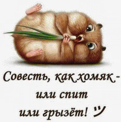 В романе \"Тихий Дон\" М. А. Шолохов раскрывает тему совести. Главный герой  Григорий Мелехов оказывается перед выбором. Совесть — это внутренний голос. Тема  совести в романе связана с главным героем. Григорий сталкивается