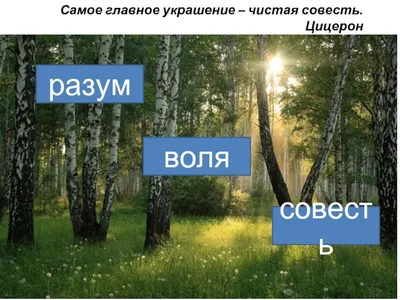 СОВЕСТЬ – альбом мотивирующих плакатов о познании добра и зла
