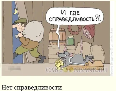 Вопрос справедливости | Образ Будущего | Дзен