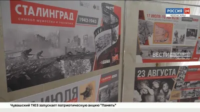 Дом ЮНАРМИИ города Бабаево собрал 9 команд, желающих проверить свои знания  по теме «Сталинградская битва. Бабаевцы-участники Сталинградской битвы» и  интуицию | 25.01.2023 | Бабаево - БезФормата