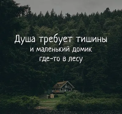 Цитаты великих людей про тишину