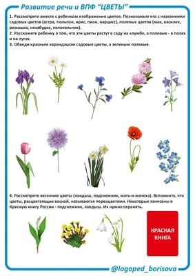 https://urokide.ru/risunok-dlya-detey-7-let-tsvety