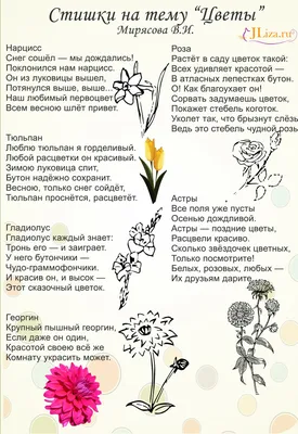 Картинки тема цветы для детей (68 фото) » Картинки и статусы про окружающий  мир вокруг