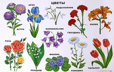 Рисунок на тему весенний букет - 48 фото