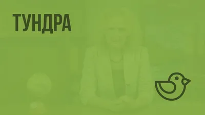 Тундра презентация, доклад, проект
