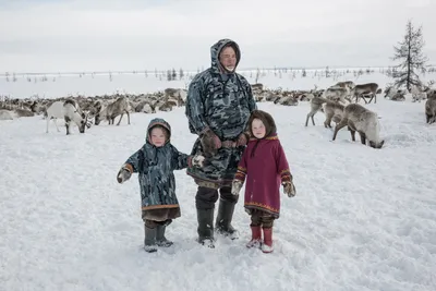 Тундра как родной дом