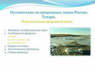 Рисунок на тему тундра - 67 фото