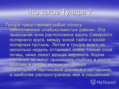 Жилой модуль \"Пилигрим\" на Тойота Тундра | Пикабу