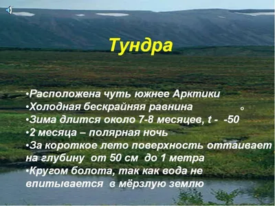 Презентация по окружающему миру на тему \"Тундра\" (4 класс)