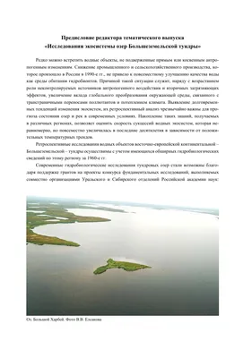 Презентация на тему: \"Тундра. ЦЕЛЬ: 1.Знакомство с тундрой 2.Климат тундры  3.Растительный и животный мир тундры.\". Скачать бесплатно и без регистрации.
