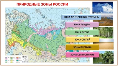 Картинки на тему #тундра - в Шедевруме
