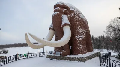 Тема: Тундра — экзотическая зона (рассказ, текст с переводом) | Немецкий  язык онлайн. Изучение, уроки.