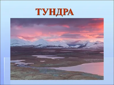 Тундра. Не пиару ради, а информации для. (Страница 1) — Техника —  Внедорожный портал клуба «Скиф 4х4»