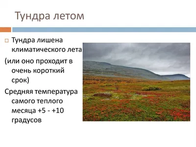 Перевернутый класс Селезневой Елены: ТУНДРА