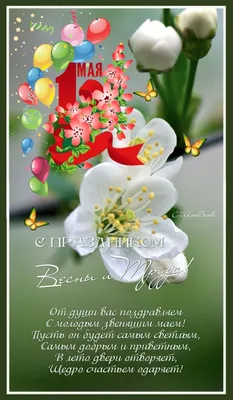 Навруз – древний весенний праздник