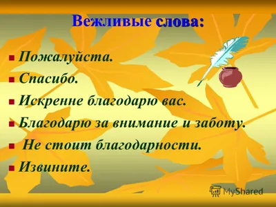 В - вежливость - Автоблоги - 4 февраля - 43406672828 - Медиаплатформа  МирТесен