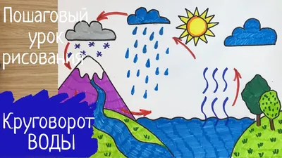 Вода и ее значение в природе. 5-й класс