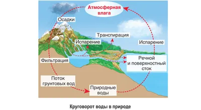 Распечатать шаблон для поделки «Круговорот воды в природе»