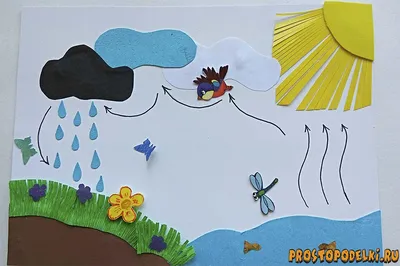 53. Круговорот веществ в биосфере: Круговорот воды
