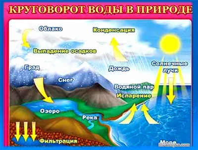 Поделка \"Круговорот воды в природе\" | Просто поделки