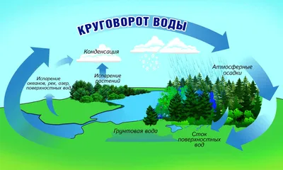Круговорот воды в природе раскраска - 68 фото