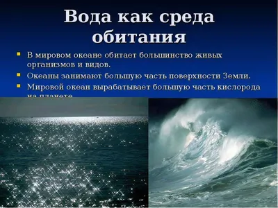 Окружающий мир. 3 класс. Тема урока : Превращения и круговорот воды.
