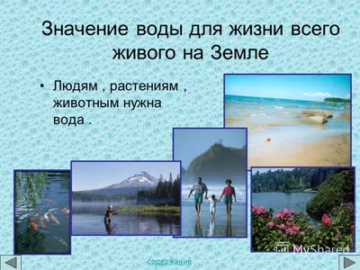Значение воды в природе (54 фото) - 54 фото
