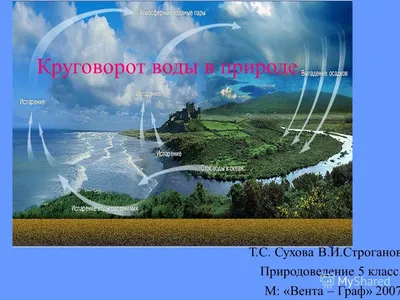 Значение воды в жизни человека - блог Aqualife