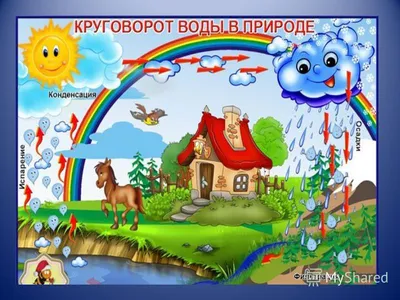 Где встречается вода в природе? - советы, обзор темы, интересные факты от  экспертов в области фильтров для воды интернет магазина Akvo
