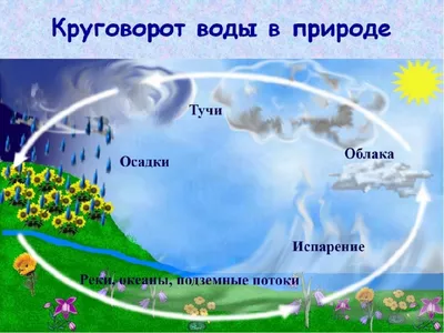 Волшебница Вода \" тема недели | Муниципальное автономное дошкольное  образовательное учреждение Детский сад №40 города Челябинска