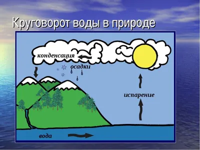 Урок-конференция по теме «Вода удивляющая и удивительная». 8-й класс